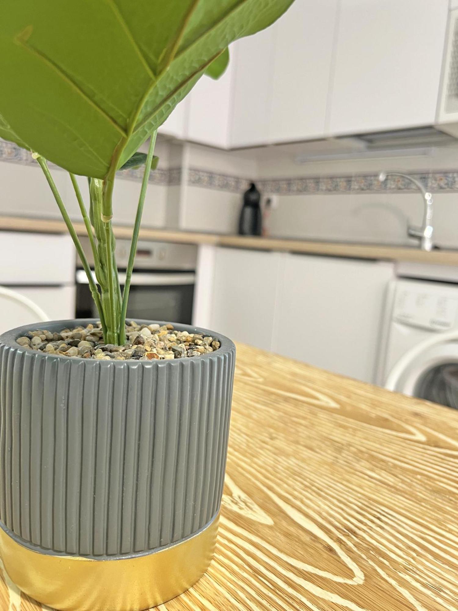 Puro Centro. 500M Del Mar. A/C Apartment Аликанте Екстериор снимка